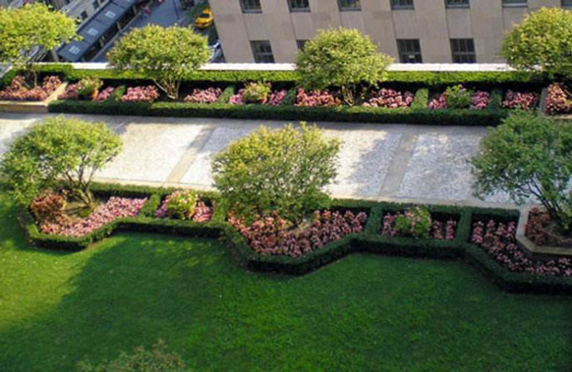 闲风国际设计部：屋顶花园设计原则与施工要点
